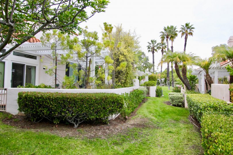 Lush community landscaping adorns the common areas at the Palmia Courts