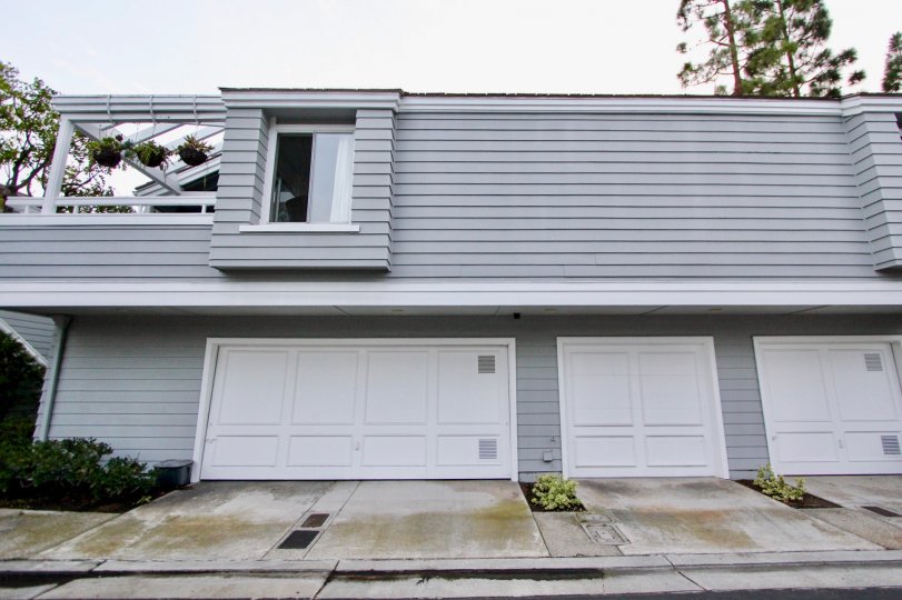 A day in the Bayridge with a modern style house and wooden doors.