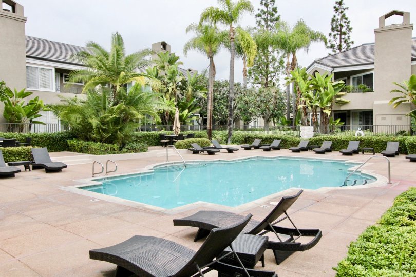 Swimming pool in Bayview Court has chairs with bushes and trees