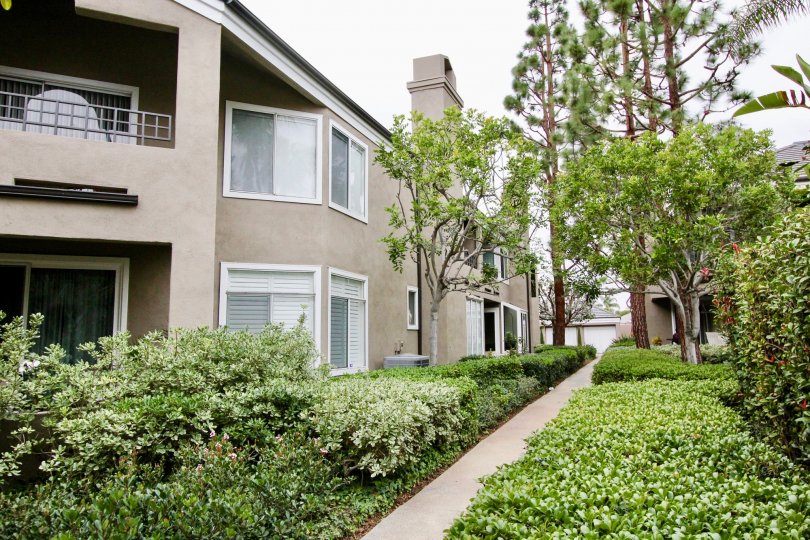 THE APARTMENT IN THE BAYVIEW COURT WITH THE PLANTS, TREES, BALCONI, SCREENED WINDOWS