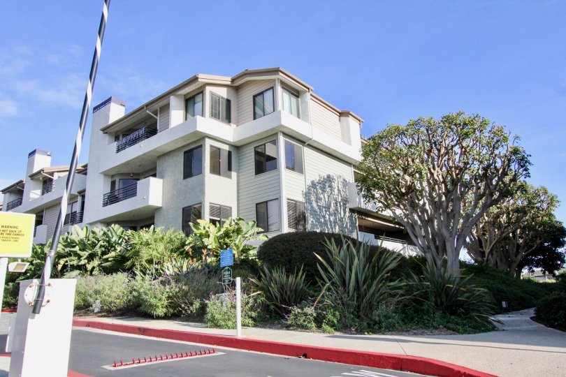 Boards are placed between the bushes and plants near to the Apartment in Villa Balboa