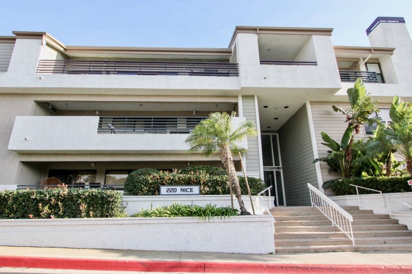 THE 220 APARTMENT IN THE VILLA BALBOA WITH THE PLANTS, UPSTAIRS, BANANA TREE