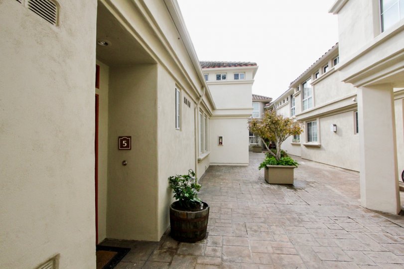 THE 5 APARTMENT IN THE VILLA SIENA WITH THE FLOWER POT, PATHWAY