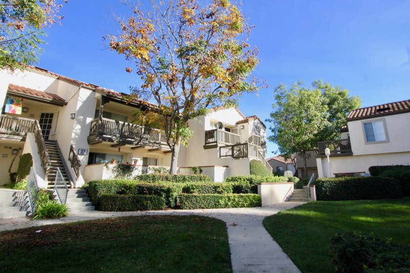 Canyon Hills House Building with Green Park Beautiful Location at Orange City in Califorina