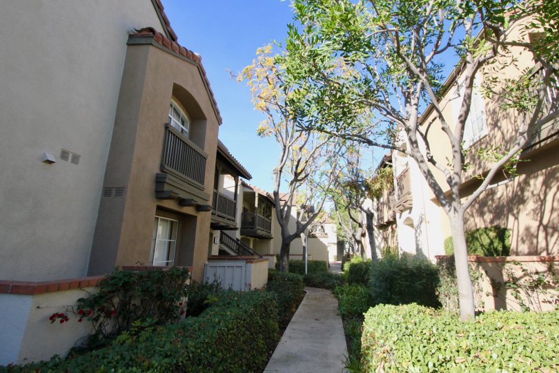 Canyon Hills Orange California having closer buildings and evenly trimmed plants in the pathway
