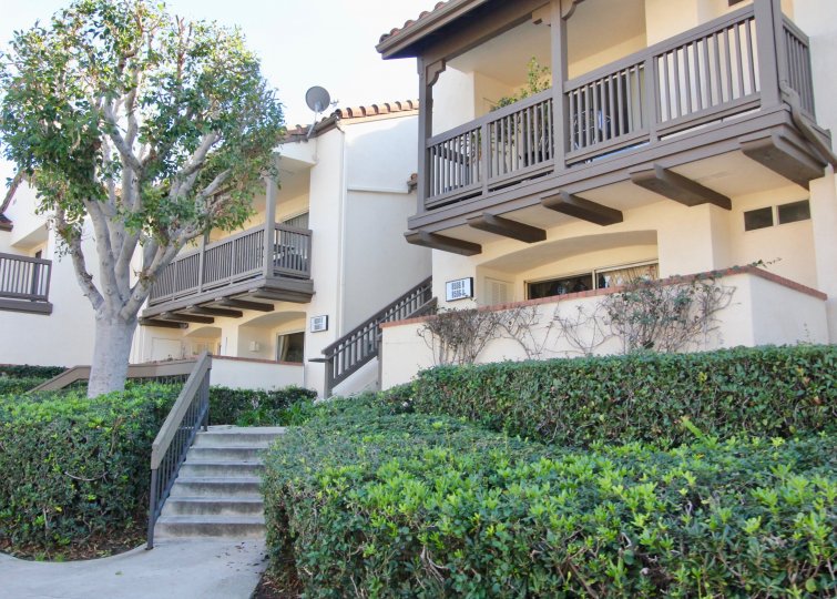 Dish antenna is connected in the roof of the villa in canyon Hills with cutting bushes and trees
