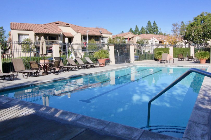 A serene pool in the backyard of a house with a white gate