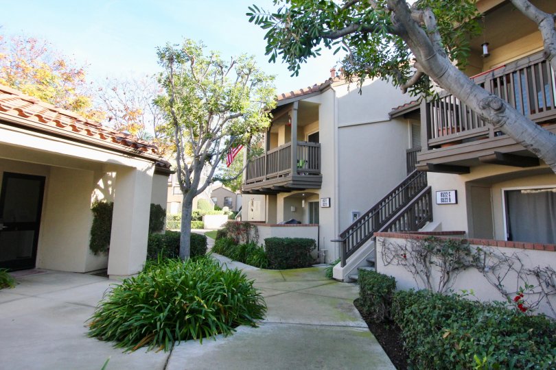 A home in the Canyon hills is very elegant homes with trees, plants, clean street and peaceful city.