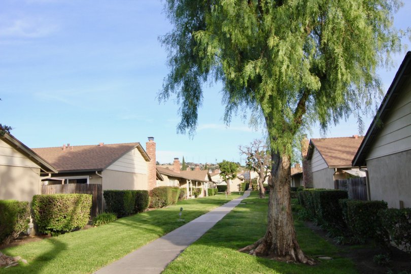 Coco Palms Orange California building standing in some good order both sides of long path with hut like roofing
