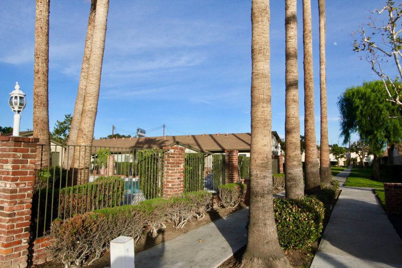 Beautiful garden entrance with bushes, flowers, and three tiers of plants