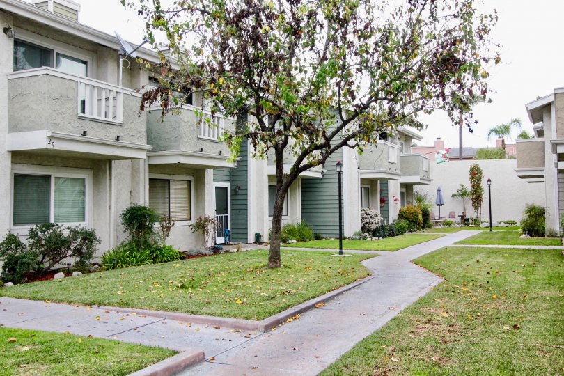 Pathway to the villa is full of lawn with trees and light lamps in fletcher Avenue