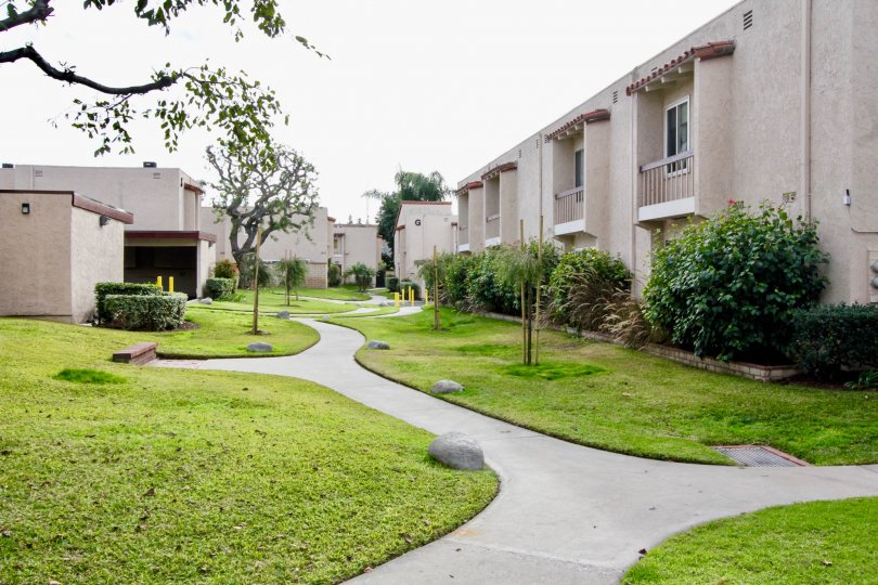 Beautiful neighborhood house with two stories and a lush green front yard