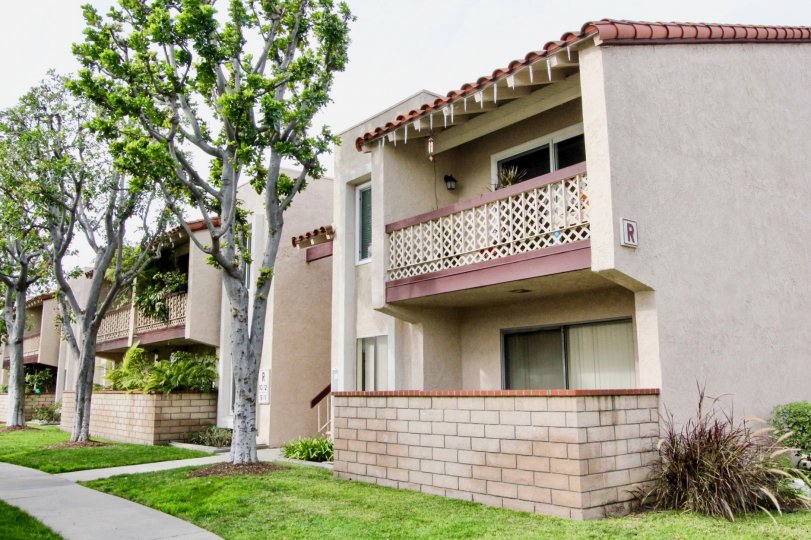 La Veta Monterey Building with Beautiful Tree Location at Orange City in Califorina
