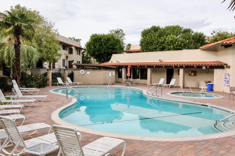 The pool with the Manana Townhomes with trees and deckchairs