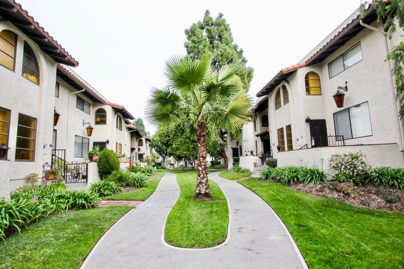 Beautiful neighborhood house with two stories and a lush green front yard