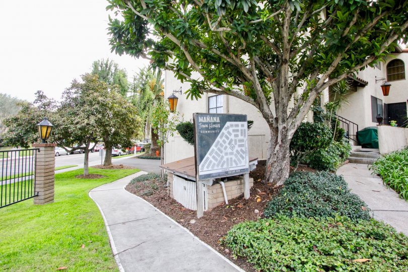 Beautiful neighborhood house with two stories and a lush green front yard