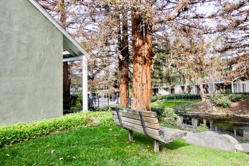 A bench by a tree in the Morningside on the Lake by a stream