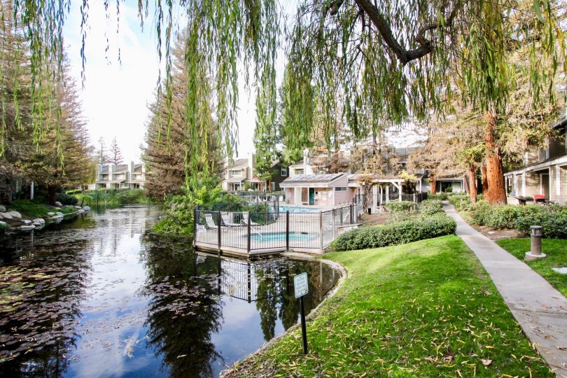 The pool and lake in the Morningside on the Lake community with trees and bushes.