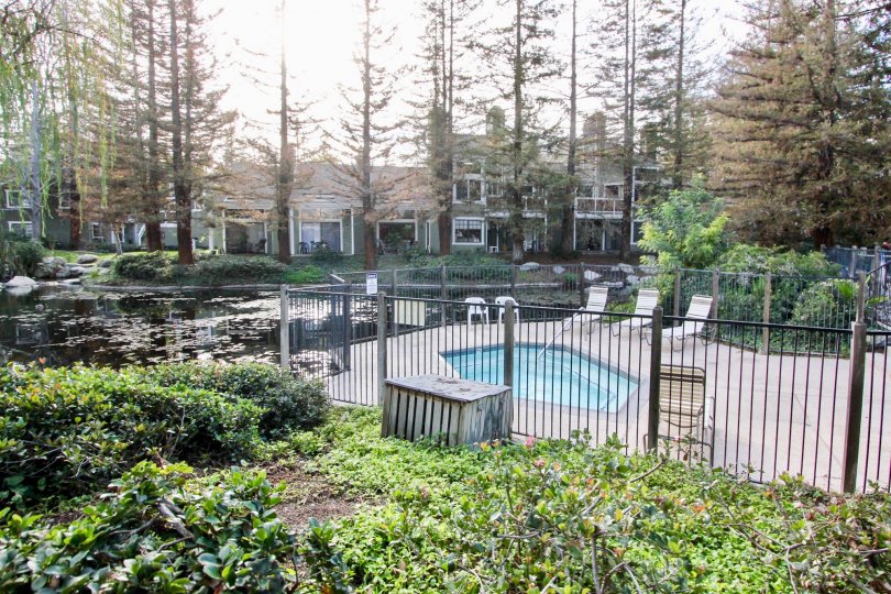 The Pool at Morningside On The Lake in Orange California