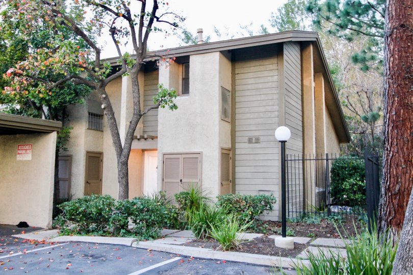Beautiful neighborhood house with two stories and a lush green front yard