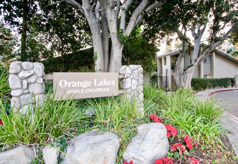 The orange lakes is like a gardening place with lots of green plants and row houses is nearby with big trees and flowers