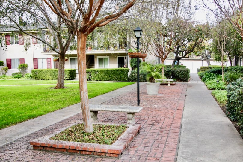 A long walking isle made of cement and bricks with trees and cement benches in Park Orleans community.