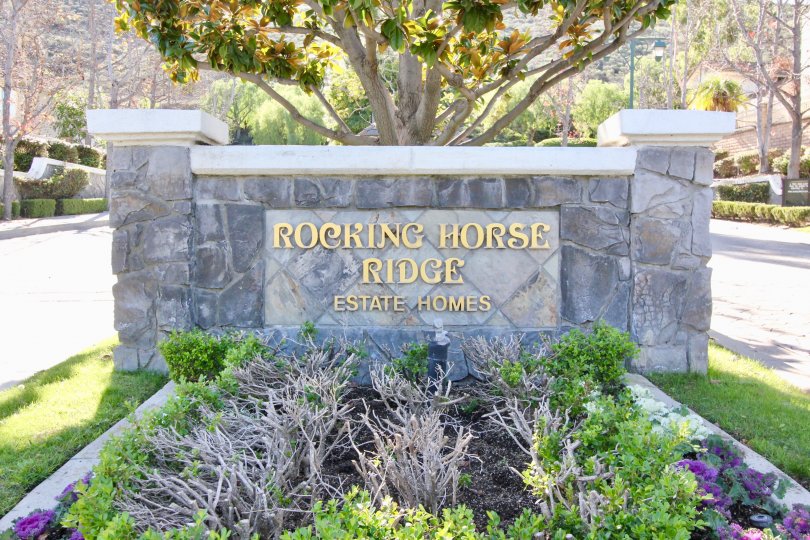 Beautiful garden entrance with bushes, flowers, and three tiers of plants