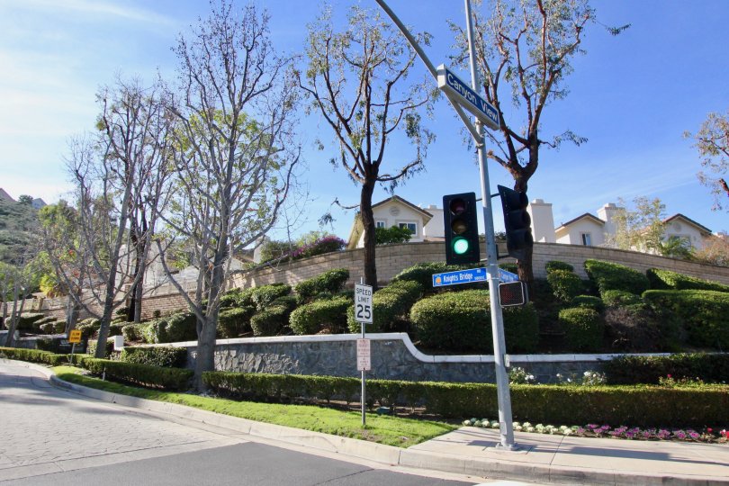 A sunny day outside the Rocking Horse Ridge community with trees and bushes