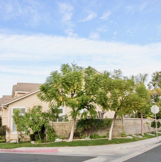 A home in the sycamore crossing is very elegant homes with trees, plants, clean street and peaceful city.