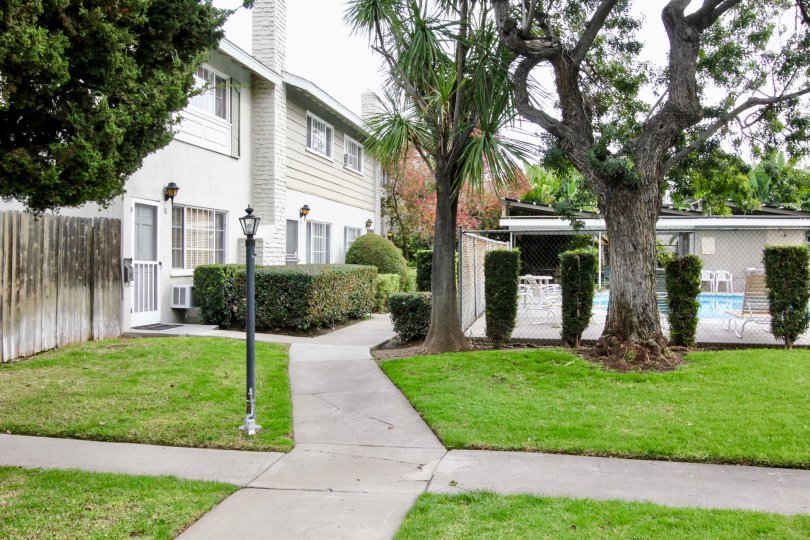 A sunny day in the The Californian with a garden and lawn.