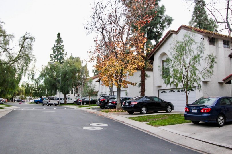 A street in the Villa La Paloma community with cars and trees