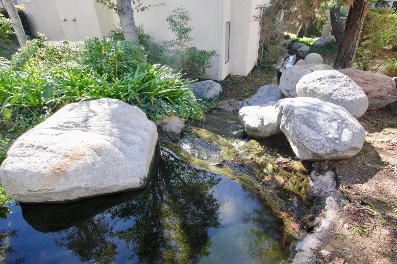 Boulder in a pond behind a building in Villeurbanne Orange, CA