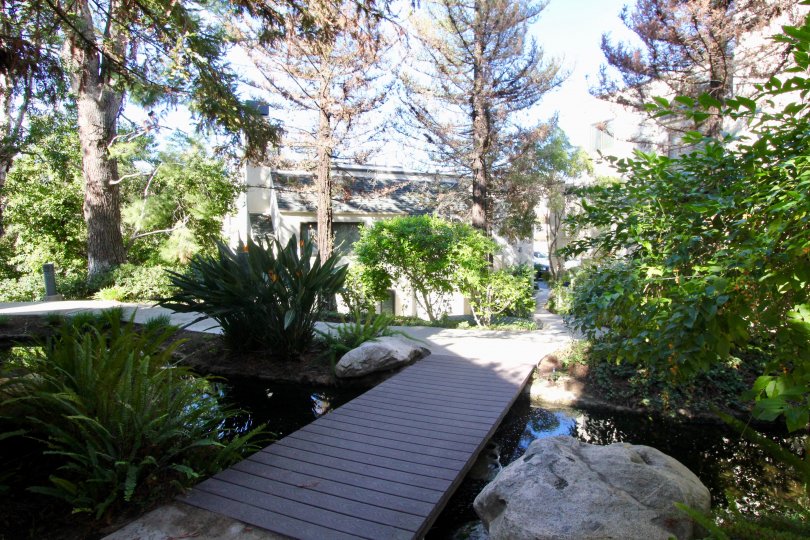 A morning in the Villeurbanne with a wooden bridge and pond.