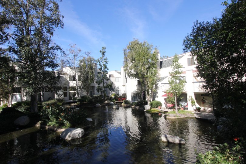 nature pool in front of the building and trees around the pool in Villeurbanne