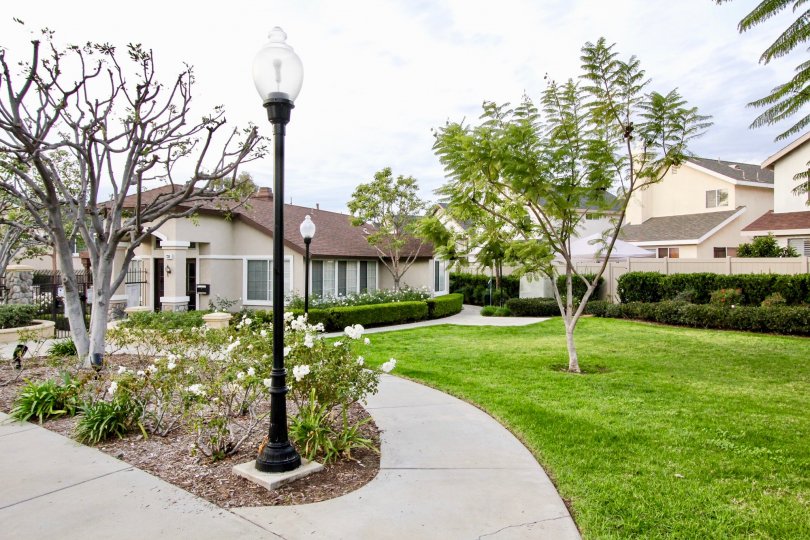 Westbury Building Attractive Beautiful Green Park Location at Orange City in Califorina