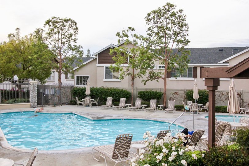 A house in Westbury community with a beautiful swimming pool and garden