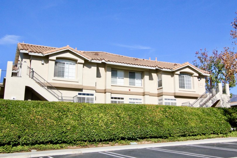 Green hedges and blue sky at Belflora in Rancho Santa Margarita, CA