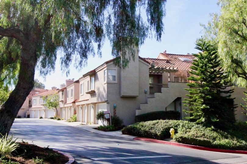 Trees and road at Brisa del Lago I in Rancho Santa Margarita, CA