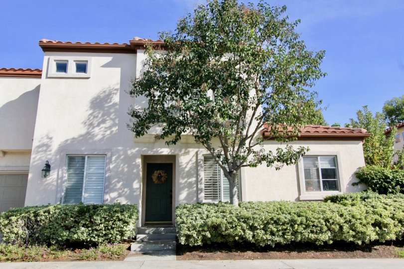 A sunny day in the area of Fiesta, outside, tree, door, windows, condo