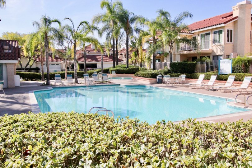 A sunny day at Floramar in Rancho Santa Margarita, California.