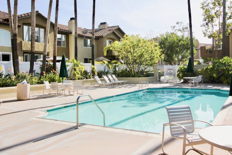 A swimming pool area beside a housing comlex with palm trees