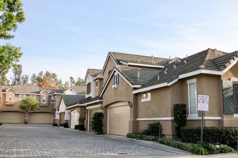 THE HOUSE IN THE SEA COUNTRY WITH THE EMPTY SPACE, PLANTS, TREES