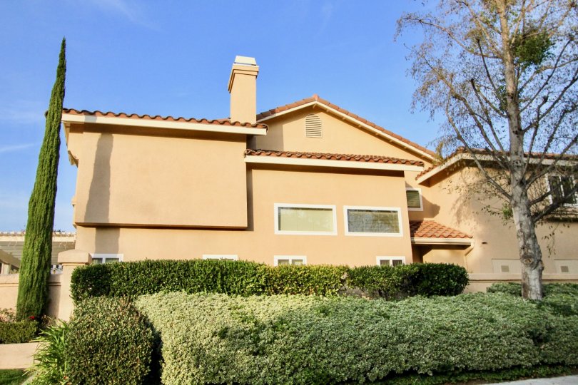 THIs image views the house front side excellent plants are planted and also the trees are there in the community of Sierra Verde