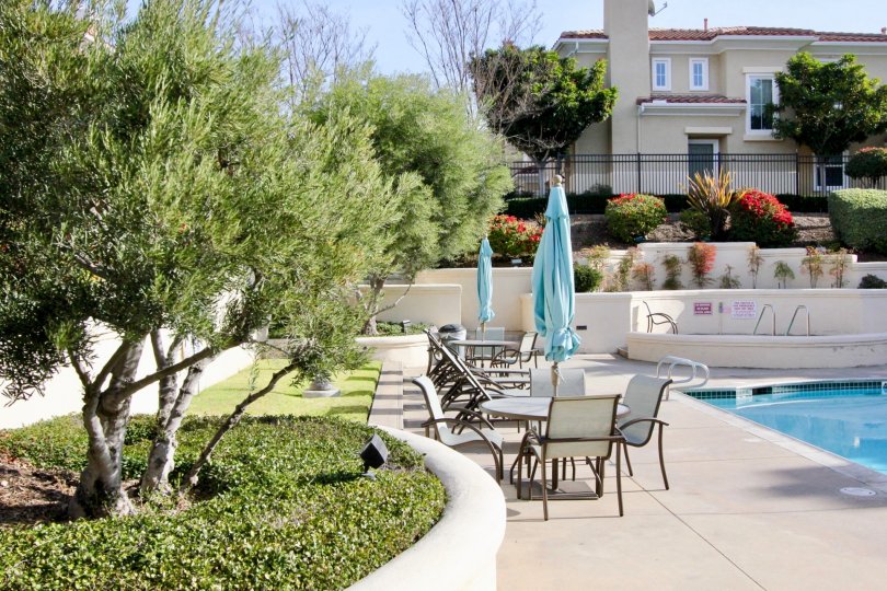 A sunny day by a pool and some trees, bushes, and grass in the Terracina area with a house behind it and trees on each side of the house