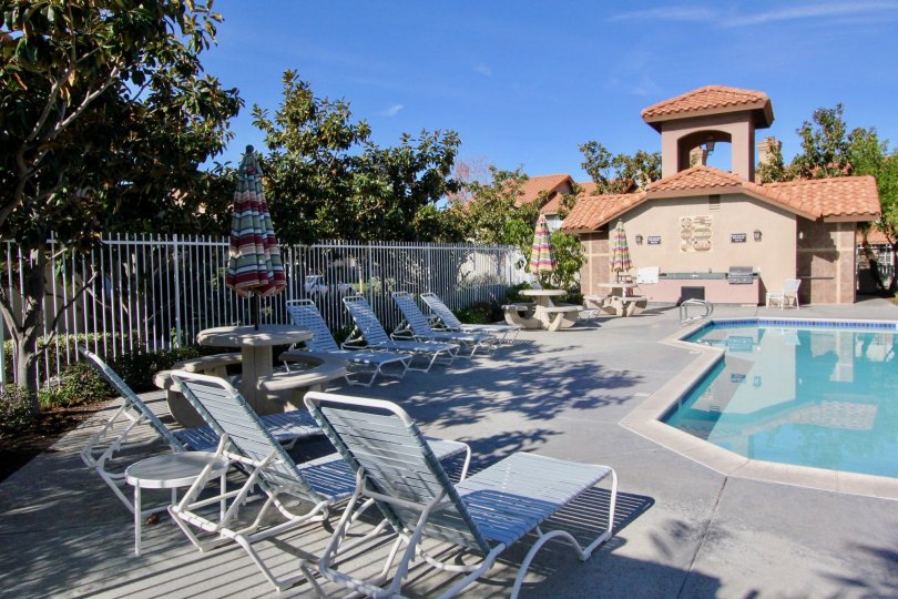 Community pool surrounded by lounge chairs in Vista La Cuesta.