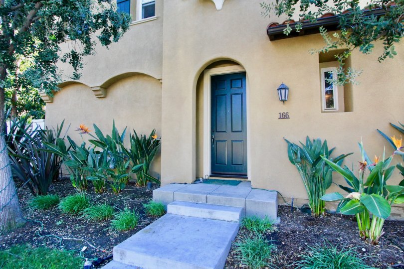 San Clemente's city slogan is "Spanish Village by the Sea". The official city flower is the Bougainvillea; the official city tree, the Coral.
