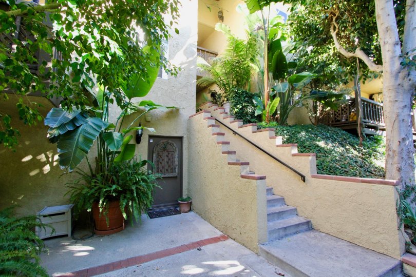 A well designed door in front of a house in the Casa Contenta.