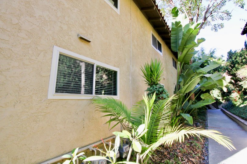 A vent sits above a long privacy window at Casa Contenta