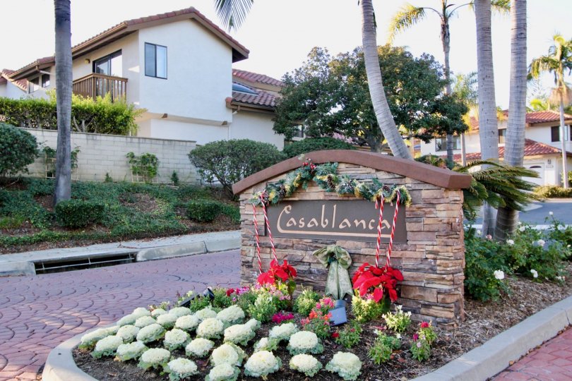 the casablanca is a bunch of flowering area of the san clemente city in california