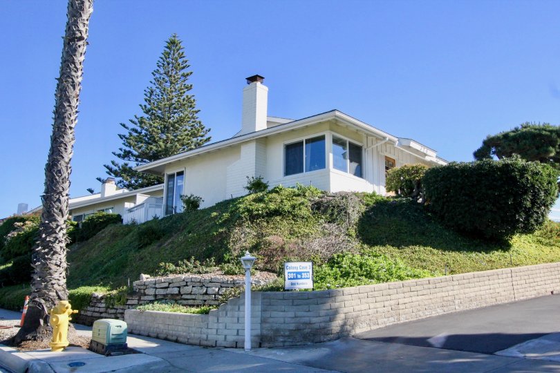 THE APARTMENT IN THE COLONY COVE WITH THE PLANTS, TREES